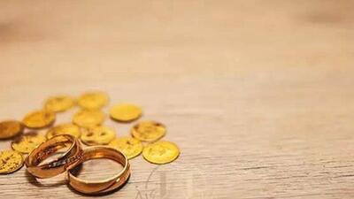  زنان باید مهریه تضمین‌شده و قابل وصول داشته باشند/ حبس زدایی گامی در جهت حفظ حقوق مردان است