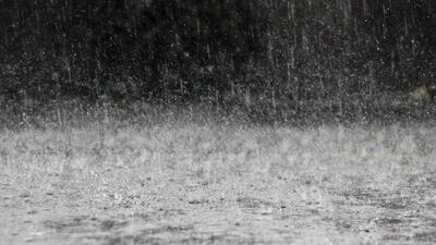  چگونه یک حصار کشی ساده برای خرگوش ها، باعث کاهش بارندگی شد؟ (+عکس)