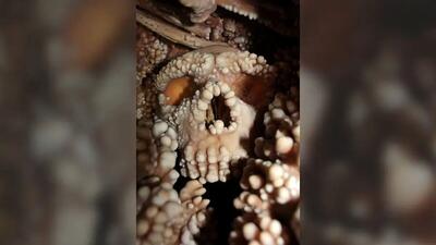  فاش شدن راز انسان‌هایی با جمجمه ۱۳۰ هزار ساله