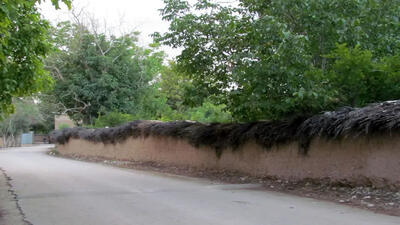  اقدام خلاقانه یک انارفروش در شیراز جلب توجه کرد