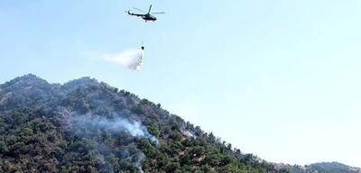  بعد از شعله‌ور شدن دوباره‌ آتش در چالوس؛ استاندار مازندران بازید شرق استان را نیمه‌کاره رها کرد و به سمت جنگل‌های الیت در حرکت است