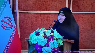  محمد بیگی: تکمیل زیرساختهای بهداشتی و درمانی قزوین و تامین 1200 تخت جدید نیازمند اختصاص ردیف بودجه است