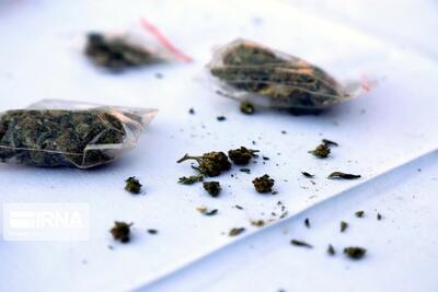  نخستین نشانه‌های مصرف گل از قرمزی چشم و خنده‌های بی‌دلیل تا گوشه‌گیری و افت تحصیلی