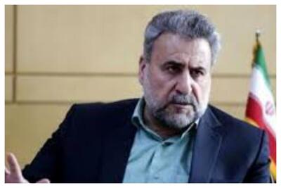  فلاحت‌پیشه: عربستان «گاو شیرده» برای کشور خودش است نه دیگران/ درس بگیرید!