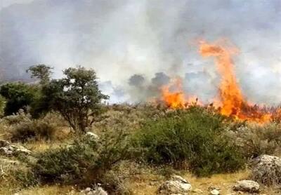  آخرین وضعیت آتش‌سوزی جنگل‌های الیت چالوس؛ ۸۰ درصد آتش‌سوزی مهار شده است
