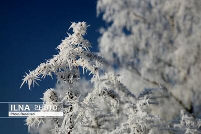  یخبندان مناطق کوهستانی اصفهان را دربر می‌گیرد
