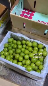  گوجه سبز هر یک دونه ۲۰۰ هزار تومن!!! + فیلم