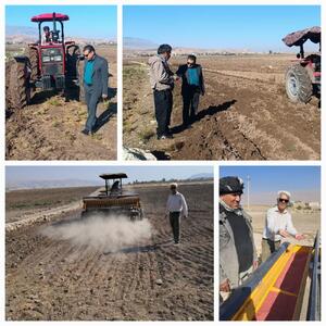  آغاز کشت گندم در دره‌شهر