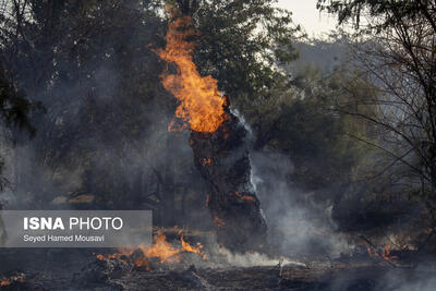  آتش منطقه الیت کمتر از ۸ هکتار شده است