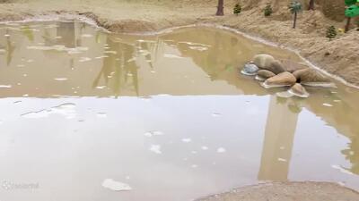  ماشین بازی کودکانه//اسباب بازی ماشین ها//اسباب بازی ماشین پلیس//کارتون ماشین