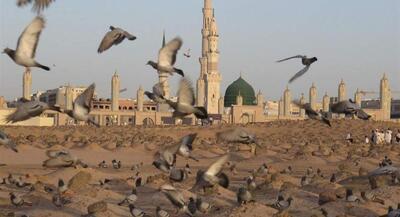  چرا روایت دقیقی از زمان شهادت حضرت زهرا(س) نیست؟ | جهان نیوز