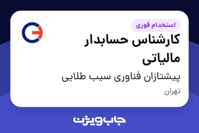  استخدام کارشناس حسابدار مالیاتی در پیشتازان فناوری سیب طلایی