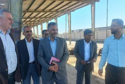  جمال الدینی: ظرفیت‌های کشاورزی جاسک با آب شیرین دریا تقویت می‌شود