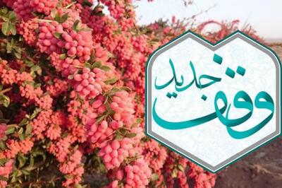  ثبت ۵ وقف ۱۷۳ میلیارد ریالی در قاینات طی ایام فاطمیه