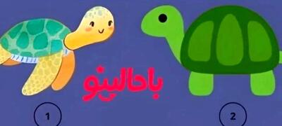  تست شخصیت شناسی/ یکی از لاک پشت ها را انتخاب کن تا بگم اهل حسادتی؟