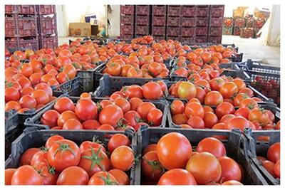  ماجرای یک شایعه جنجالی در بازار میوه