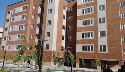  پنج سال انتظار در قم؛ زیتون‌هایی که هنوز به ثمر ننشسته‌اند!