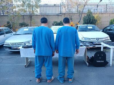  جزئیات بازداشت دزدان مسلح شهر زیبا از زبان پلیس پیشگیری تهران بزرگ: دستگیری نفر اصلی باند سارقان + فیلم