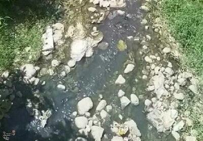  تهدید جان مردم با پساب عفونی مرکز دیالیز؛ کانال آب سطحی شهر تبدیل به فاضلاب درمانی شد فیلم - تسنیم