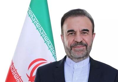  نجفی: ایران به قطعنامه تصویب شده در شورای حکام عکس‌العمل لازم نشان خواهد داد - تسنیم