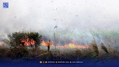  ۳ بالگرد هلال‌احمر به عملیات اطفای حریق منطقه جنگلی الیت پیوستند