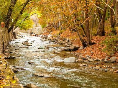  پاییز زیبای آسارا