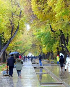  پائیزانه های چهار باغ