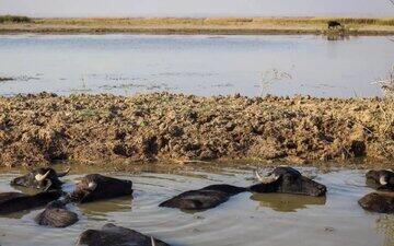  قاتلان باران ایران را بشناسید / این اسامی را هرگز فراموش نکنید! / لیست سیاه باران‌کُشان ایران