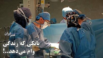  بانکی که زندگی وام می‌دهد..! درباره جایی که اعضای اهدایی بیماران مرگ مغزی نگهداری می‌شوند چه می‌دانید؟ (فیلم)