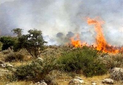  جنگل الیت و مردم ایران چشم‌انتظار یک قطره باران