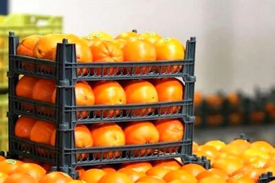  ماجرای پرتقال سمی در ایران چیست؟