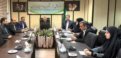  جلسه وبیناری کارگروه بررسی املاک فاقد سندمالکیت حوزه ورزش و جوانان برگزار شد