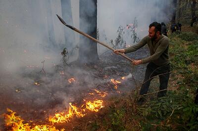  هشدار رئیس کل دادگستری مازندران به مسئولانی که در مهار آتش‌سوزی جنگل‌های هیرکانی الیت قصور کنند