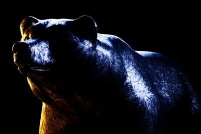  افق بازارها مثبت خواهد بود یا منفی؟