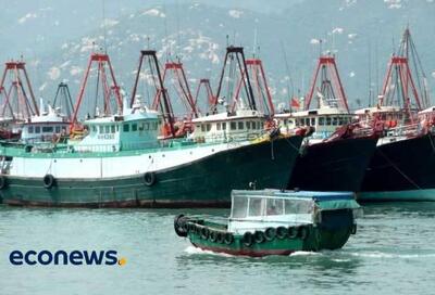  چین تمام شیلات و محصولات دریایی ژاپن را ممنوع کرد - اکونیوز