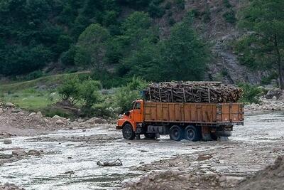  ۶ کیلومتر جاده‌کشی در قلب میراث چند میلیون ساله هیرکانی؛ ردپای استاندار سابق در بحران زیست‌محیطی ایران | اقتصاد24