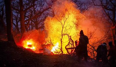  گریه‌های جنگلبانان برای سوختن جنگل‌های هیرکانی+ فیلم