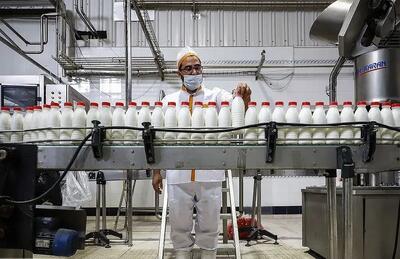  شیر خام از مرز ۳۵ هزار تومان گذشت؛ متهم اول گرانی لبنیات معرفی شد