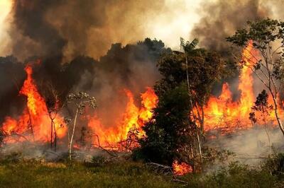  ادامه حریق در جنگل‌های هیرکانی پس از ۲۰ روز/ اعزام پنج بالگرد و یک فروند هواپیمای ایلیوشین به منطقه