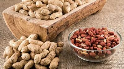  با خوردن این مغز دیرتر پیر می‌شوید