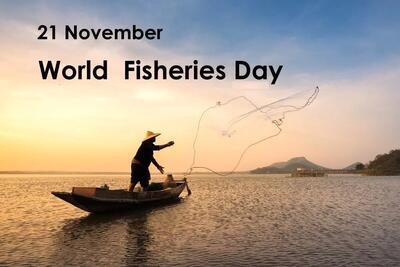  ۲۱ نوامبر روز جهانی شیلات است