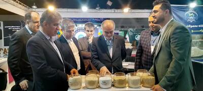  در شناساندن ظرفیت های گیلان به کشورهای همسایه غفلت شده است