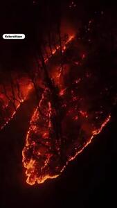  تصاویر وحشتناک از سوختن جنگل هیرکانی +فیلم