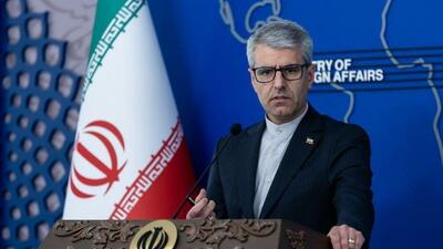  بقائی: تفاهم قاهره، لغو شده است/ تهران به قطعنامه جدید واکنش نشان خواهد داد