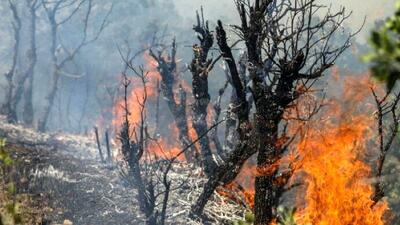  آغاز عملیات هوایی مهار آتش‌سوزی جنگل چالوس با هواپیمای ایلوشن