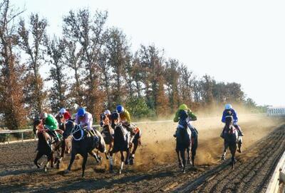  پایان ماراتُن هفته دوم اسبدوانی پاییزه گنبدکاووس+ فیلم