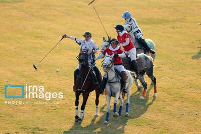  لیگ ملی چوگان زنان «جام نرگس»