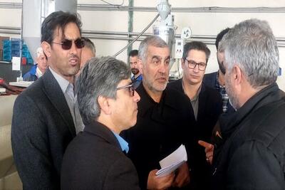  نیکزاد: دولت و مجلس برای رفع موانع تولید عزم جدی دارند