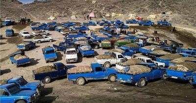  بررسی معضل قاچاق سوخت در جنوب کرمان؛ چالش‌ها و راهکارها