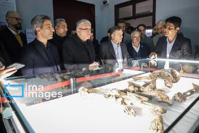  سفر وزیر میراث فرهنگی، گردشگری و صنایع دستی به زنجان